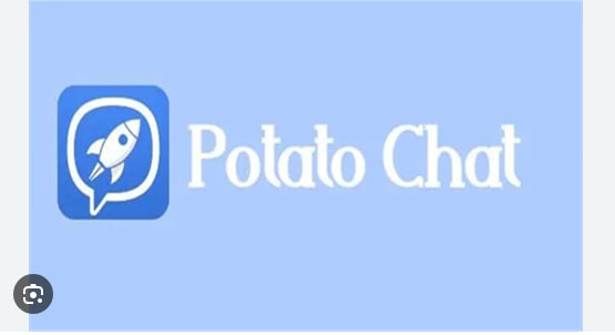 可以用邮箱注册Potato Chat吗？|Potato下载